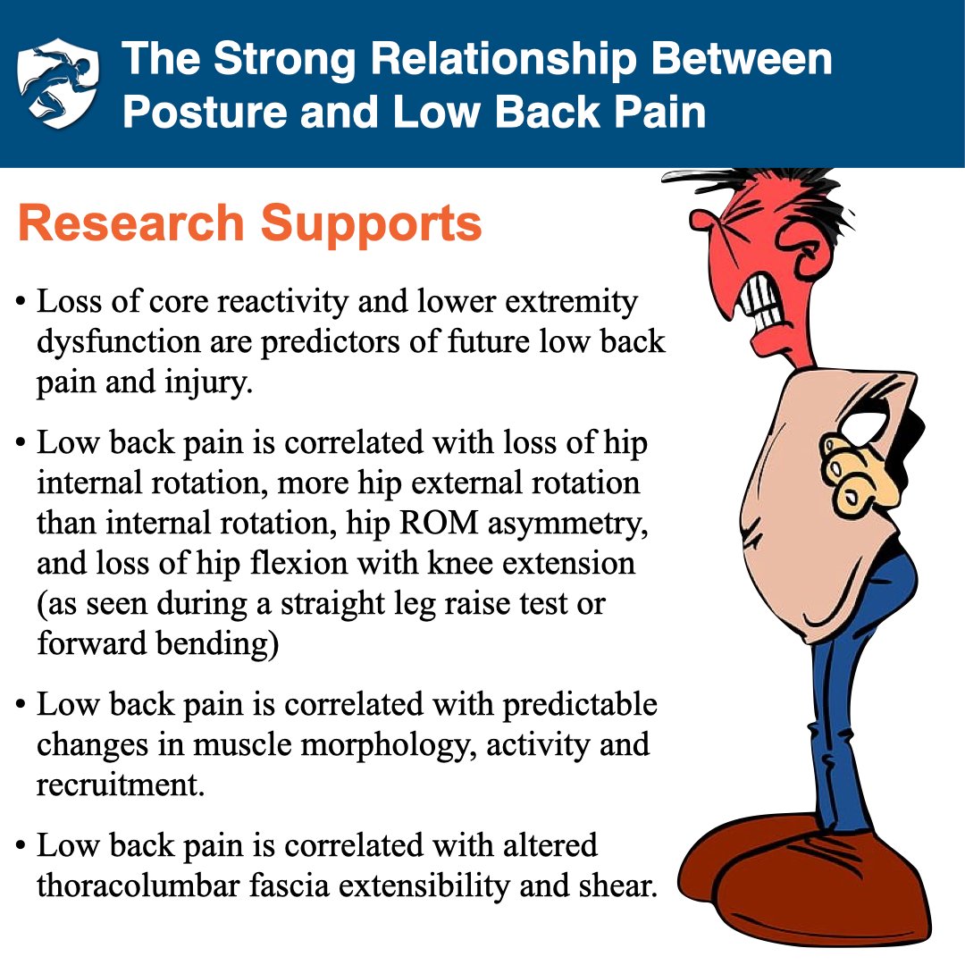 BrookbushInst's tweet photo. π΄ Pain science education is a good adjunct, but release, mobilization and exercise techniques which have demonstrated larger effect sizes both short-term and long-term, should be prioritized.
Learn more: https://t.co/AWbbpaDBtF
#brookbushinstitute #humanmovementscience https://t.co/BeuAPLKYc5
