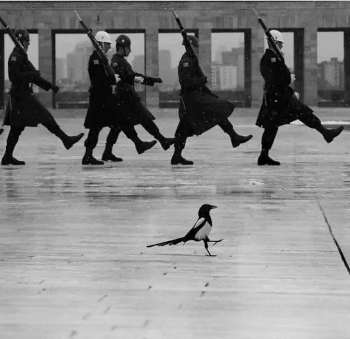 Libs on Social 🫂 (@libsonsocial) on Twitter photo 