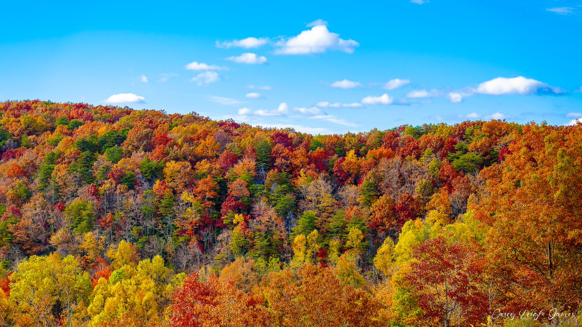 CaseyLeighJames's tweet photo. Amicalola Falls State Park this past fall. We've been there a few times. This was the first time we went up to the lodge. It was breathtaking.
#fallcolors #blueskies #amicalolafallsstatepark #georgia #georgiastateparks #landscape #landscapephotography #photography #fyp https://t.co/0G1ZUpqcC1