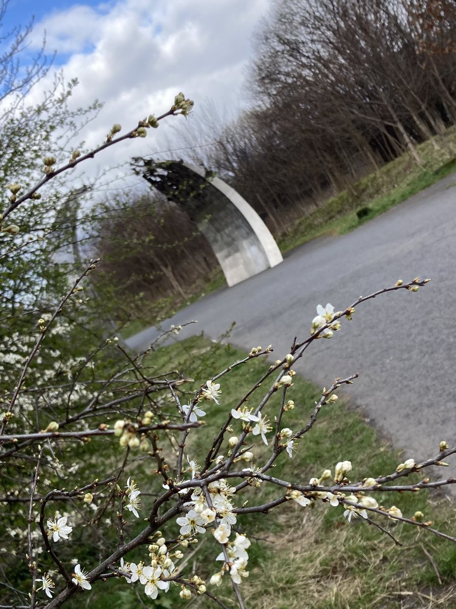 FionaKindness3's tweet photo. Blossom is blooming at the beautiful #Evolve sculpture #Cuningarloop 🌸 https://t.co/xf4k8hmzSm