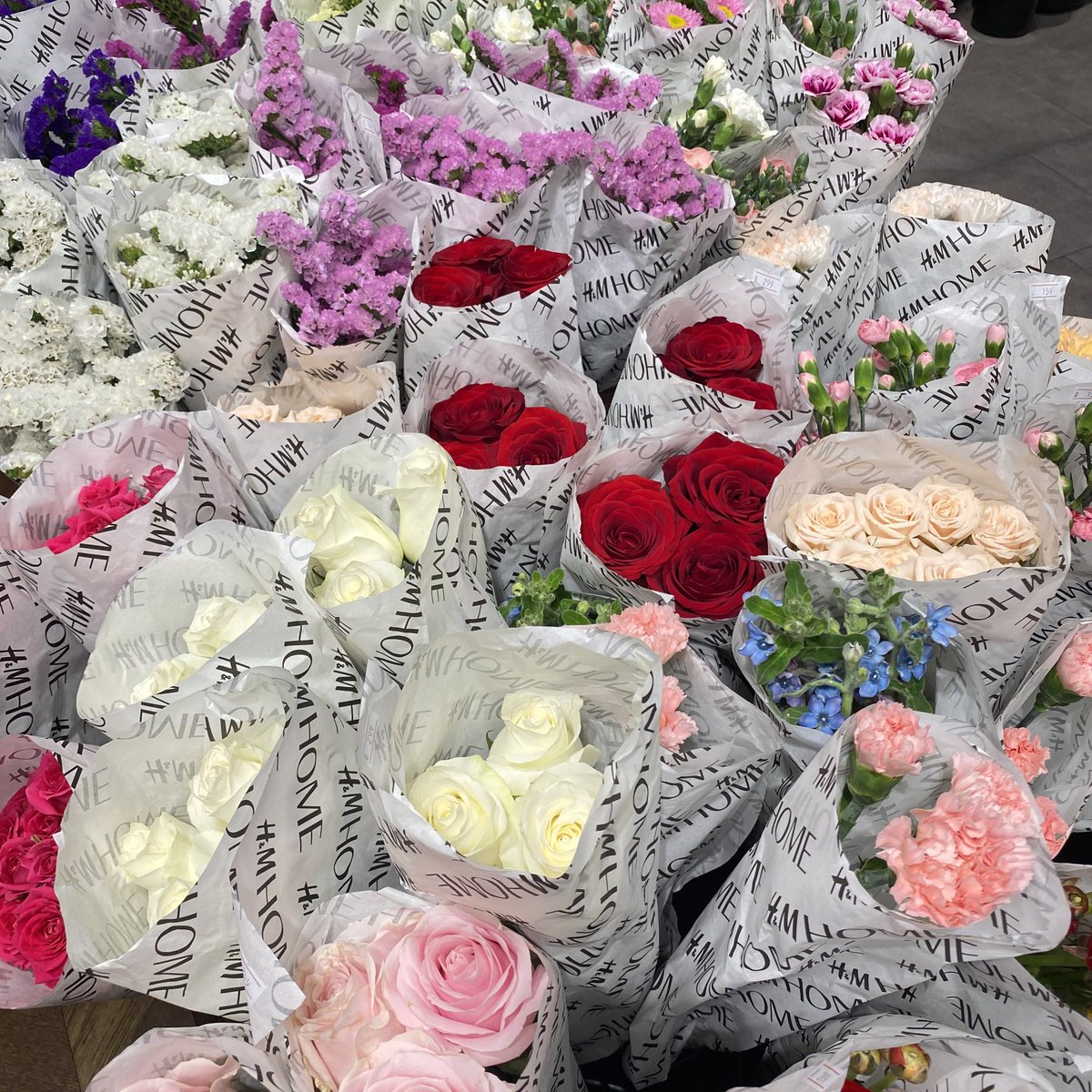 99tothefuy's tweet photo. 💐🤍😻 https://t.co/tSbo8yB4Il