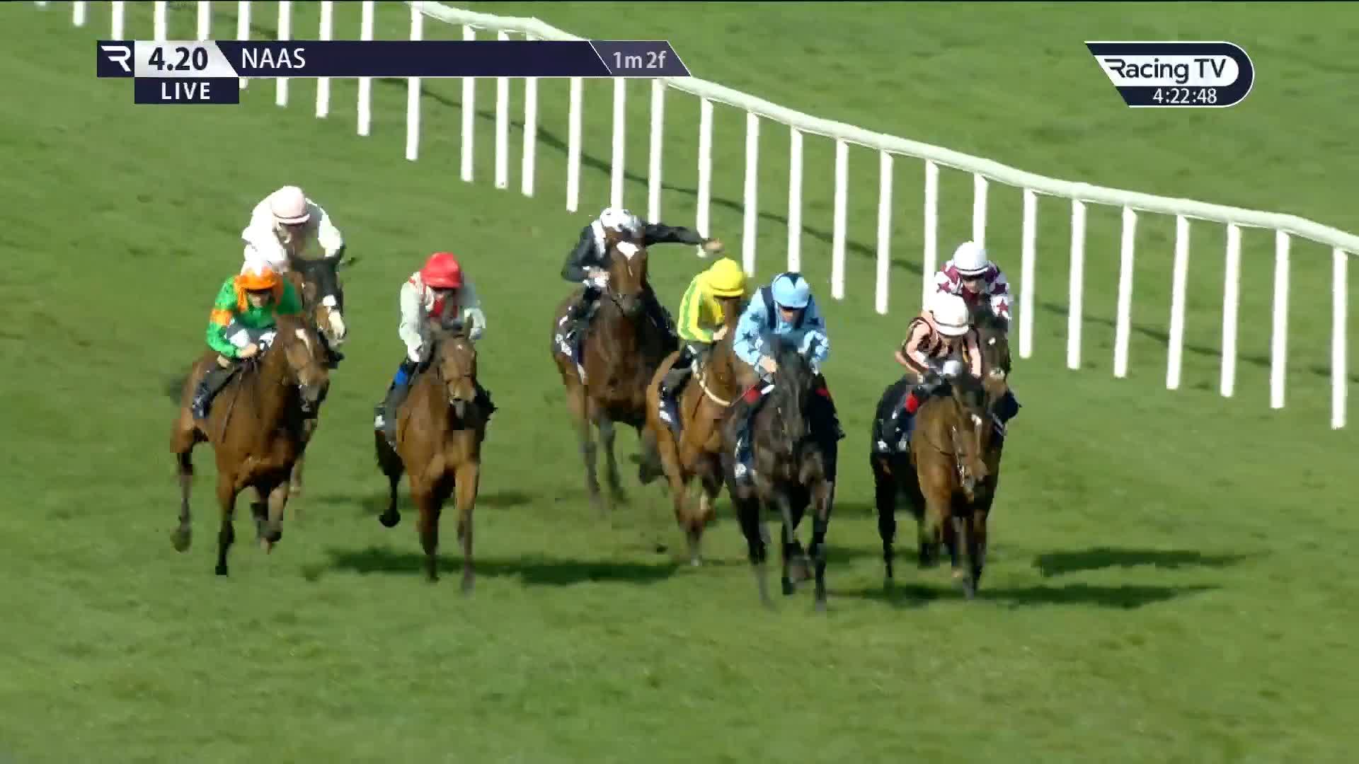 Devoy Racing Horse Racing Ireland on Twitter: