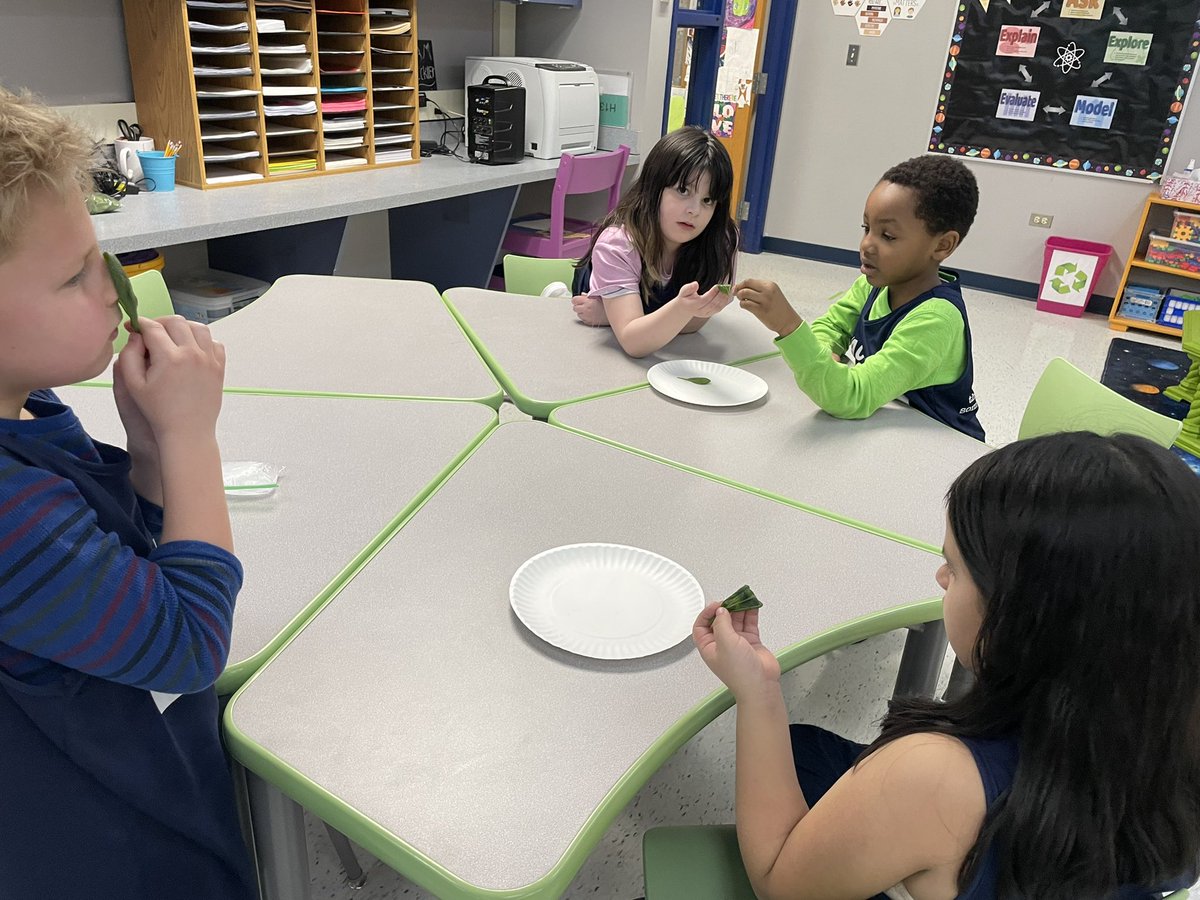 AmandaStrickler's tweet photo. 2nd graders have been busy learning about matter and engineering. We have learned to describe properties of matter, reversible and irreversible changes in matter and practiced our sketching skills. #PLTW #STEM #BHWarriorPride @Bighollowelem https://t.co/ROO9grMiD4