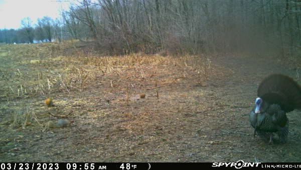 The1JohnnyGunn's tweet photo. @SpypointCamera April 22nd can't come soon enough here in Ohio! https://t.co/Is70VL4xH6