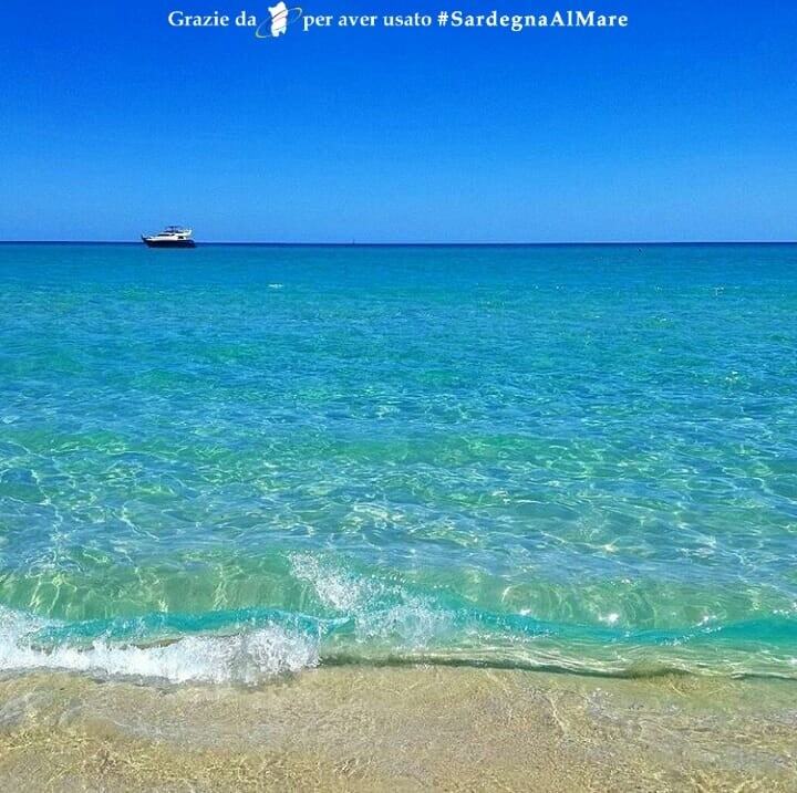 SardegnaAlMare's tweet photo. web: https://t.co/CyekaOsjWZ Spiaggia di San Pietro, Castiadas π π¨ π€© # SardegnaAlMare #spiaggia #sardegna #sardinia #ichnusa #sanpietro #spiaggiadisanpietro #sanpietrocastiadas #castiadas #castiadascalcio #castiadasospitale #costarei #costareibeach #spiaggiadicostarei #murβ¦ https://t.co/gs2IdpbTKR