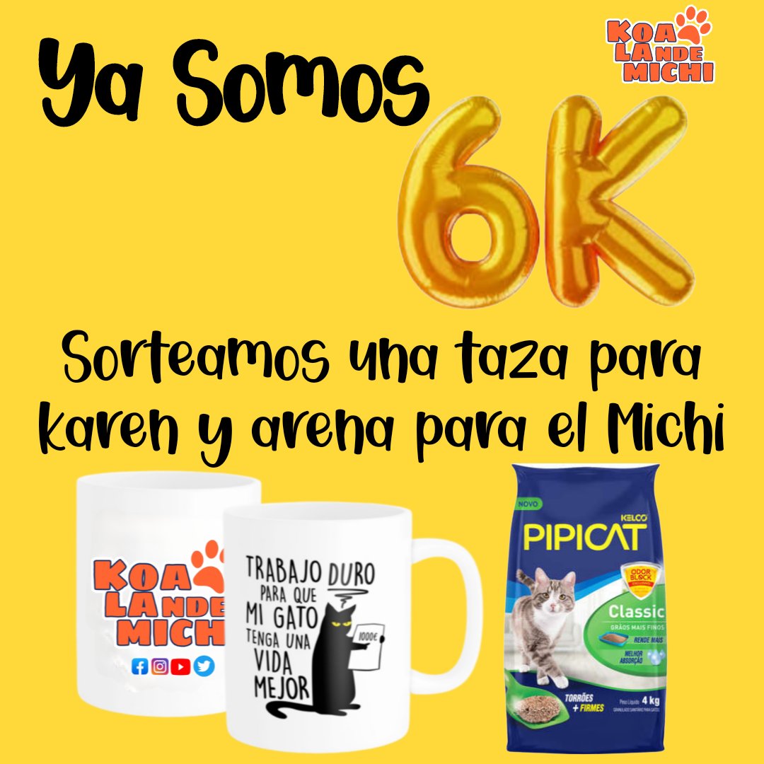 Ya somos 6.000 🫶🏻😻 muchísimas gracias a todos, los que siempre comparten los casos para ayuda adopción responsable y donaciones.
@ a tu amiga/o Michi Lover, dejanos tus 3 últimos Nro de C.I, dale RT y seguinos 🫶🏻😻🐱 ❤️ 

sorteamos el 09 de abril