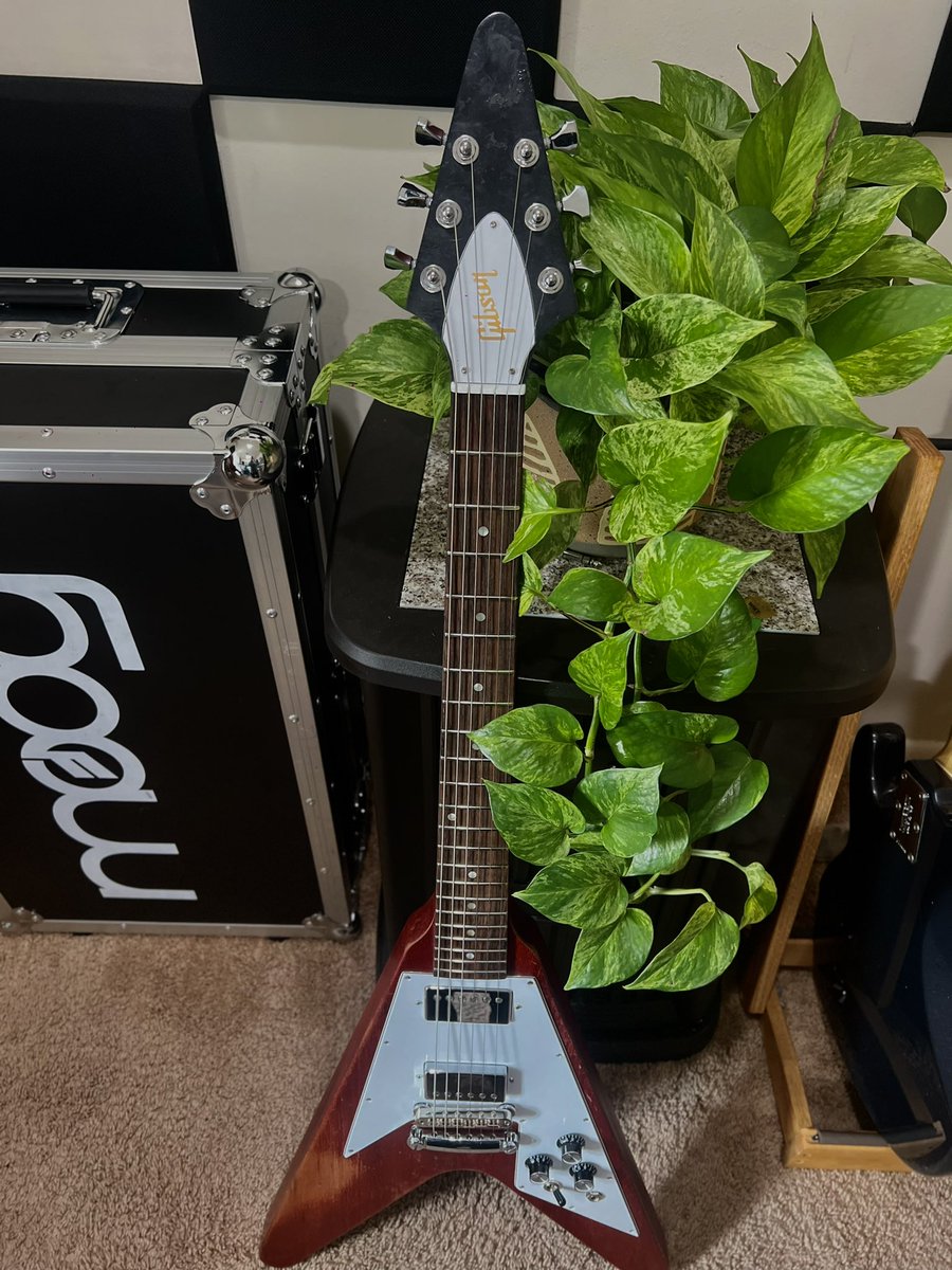 Luke Anderson tweet media