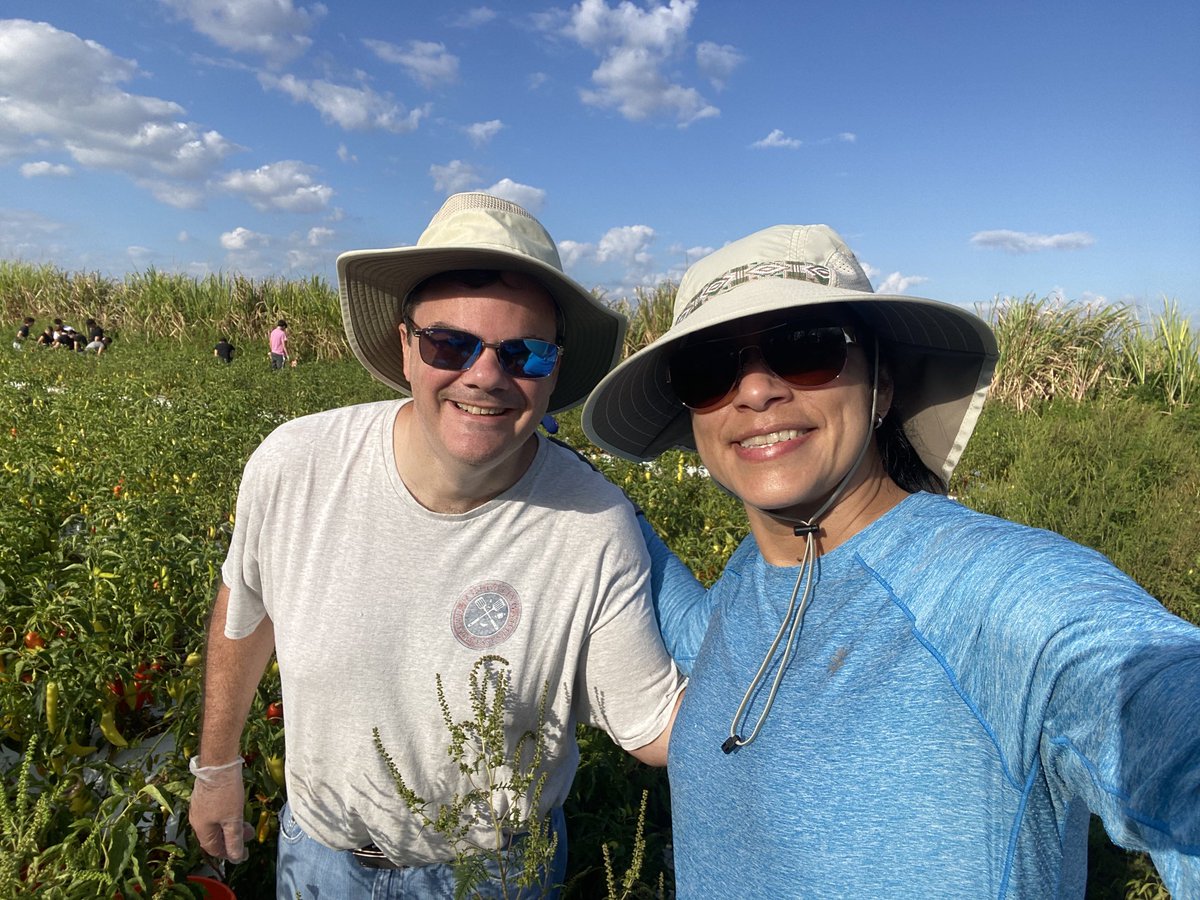 Mrs. Ana Farrand tweet media