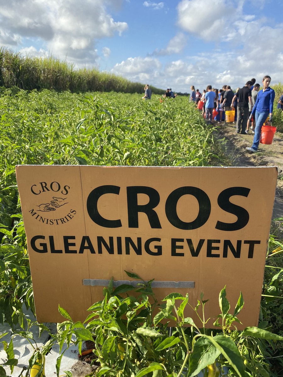 Mrs. Ana Farrand tweet media