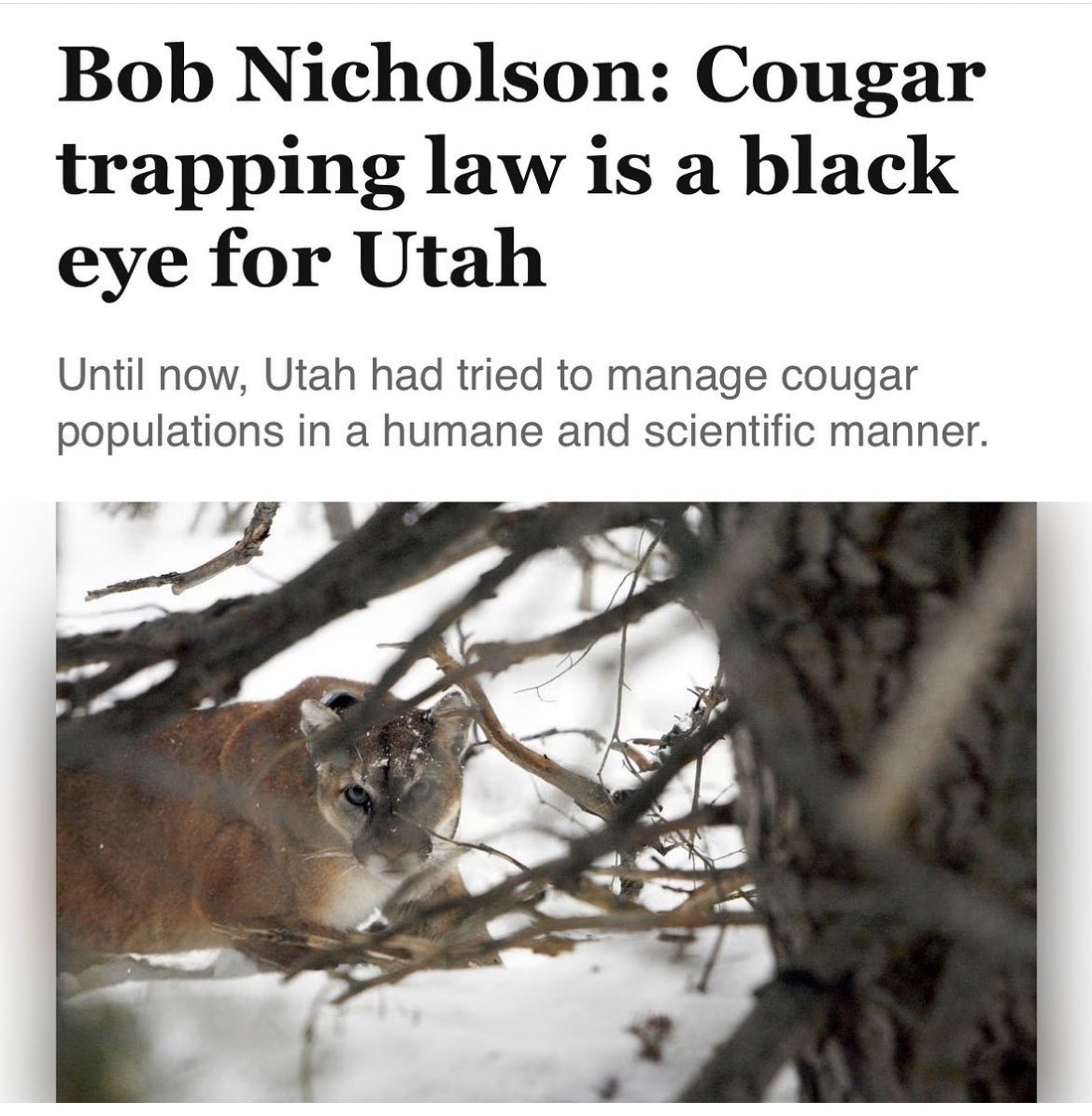 Caroline Guzman tweet media