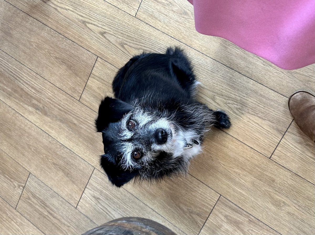 @VictorNovIndigo Fab wine and tasting shop in Gateshead, Wellington street. Great wine and welcoming atmosphere. Not to mention a beautiful friendly pooch. What more could you ask for xx