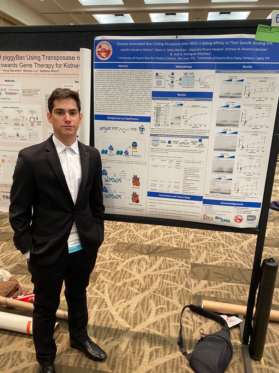 josarc's tweet photo. @theJARMlab well represented at the undergraduate poster competition Day 1 #DiscoverBMB2023 #discoverbmb Great job! https://t.co/ew41iLUwBh