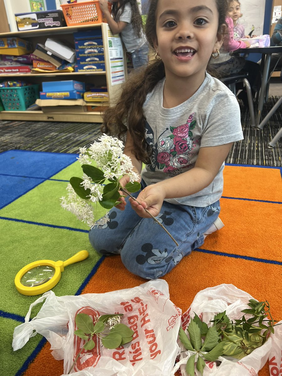 Mshernandez02's tweet photo. Learning about plants and nature 🍃🔍 https://t.co/liTjXlDmxH