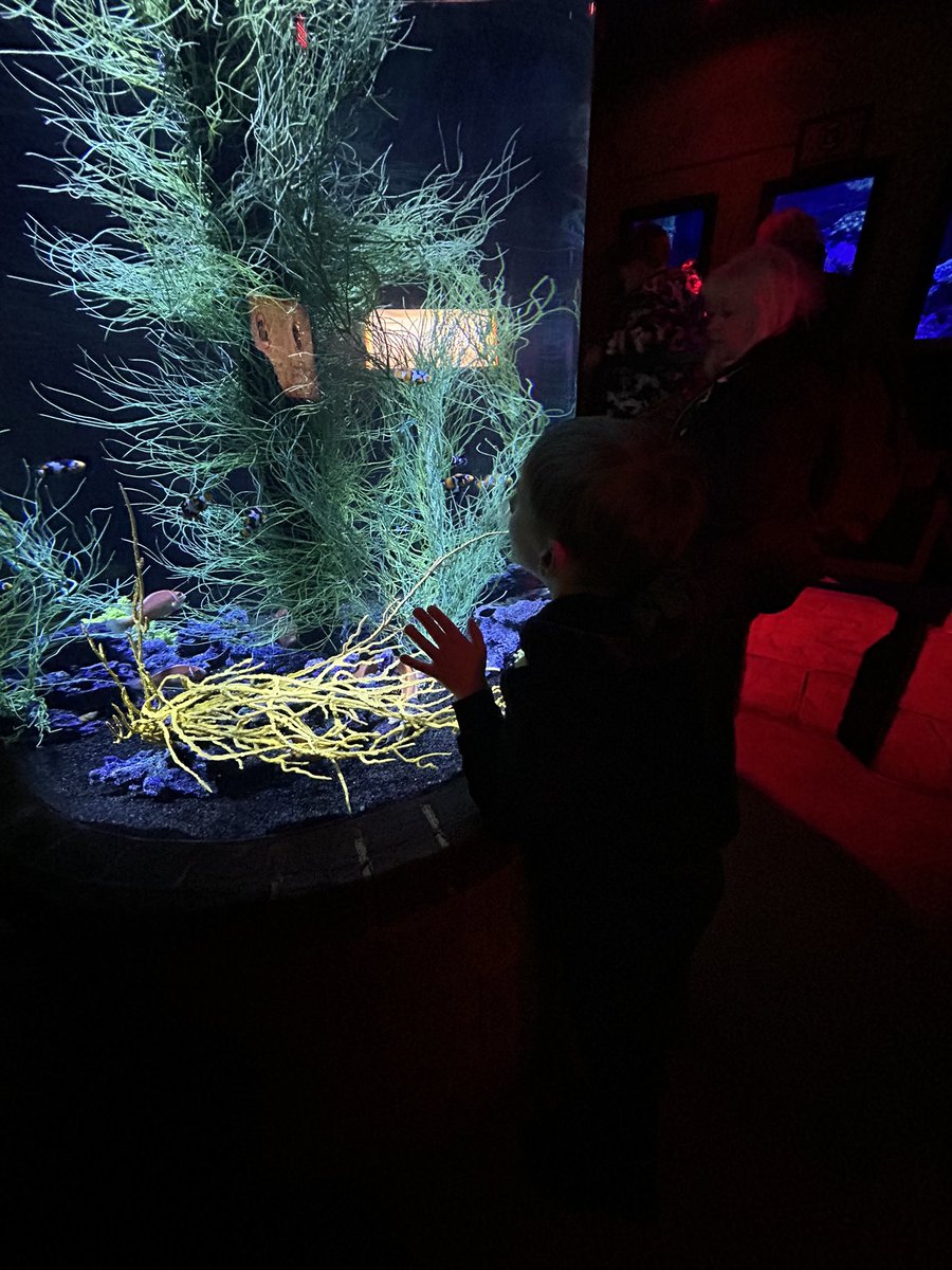 Melissa Perkins tweet media