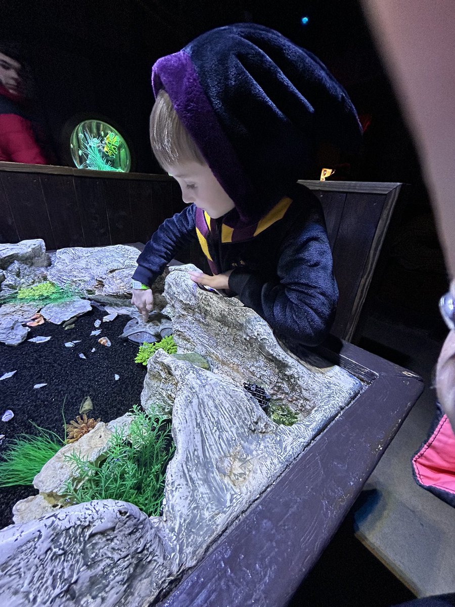 Melissa Perkins tweet media