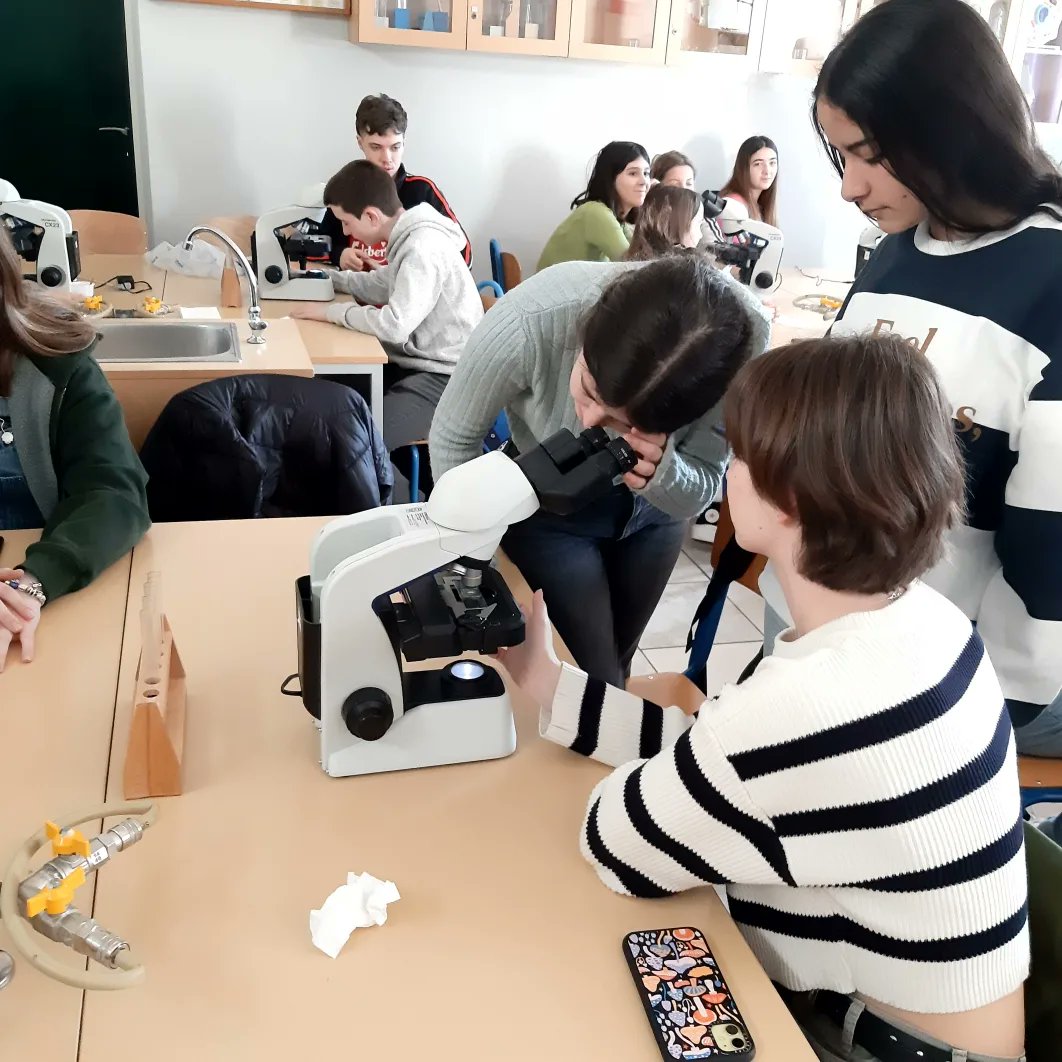 Erasmus en el IES Clara Campoamor Rodríguez tweet media