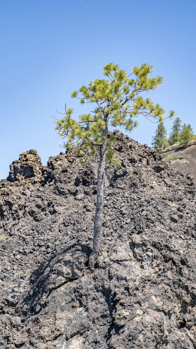 neverduskys's tweet photo. Trail of the Molten Land 
Newberry National Volcanic Monument
Oregon https://t.co/LCMx8gDphh