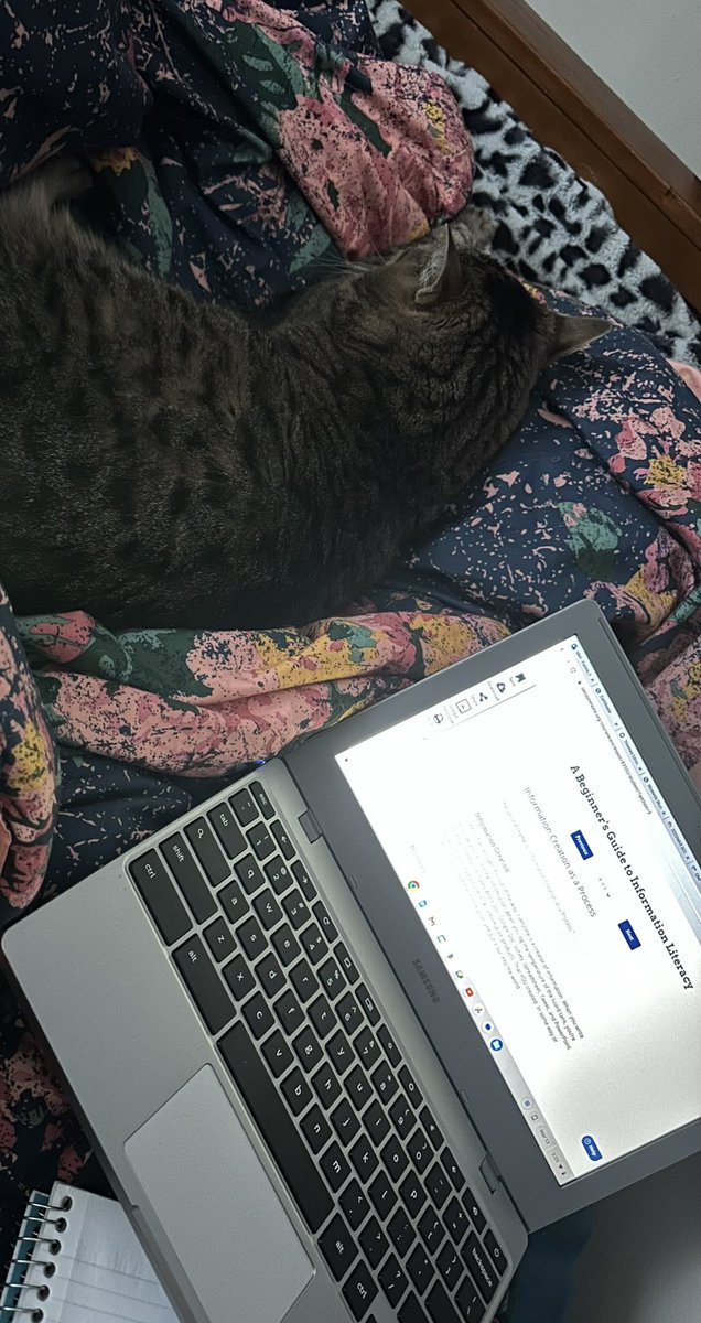 MFurinoUPSPHL's tweet photo. Sundays are for studying! Did you know that if you work for UPS, that your college courses can be completely free at Thomas Edison State University? π§ π©βπ»π©βππ #TESU #UPSpartners #geteducated @daveortone @RaymondChew95 @BobKee6 @LynellFoxworth1 @BrownDenelle @BickerstaffMar https://t.co/KgaYjHZ6cR