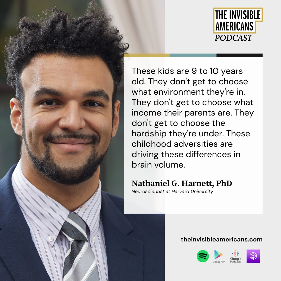 Income levels have the most substantial unique effect on brain regions.