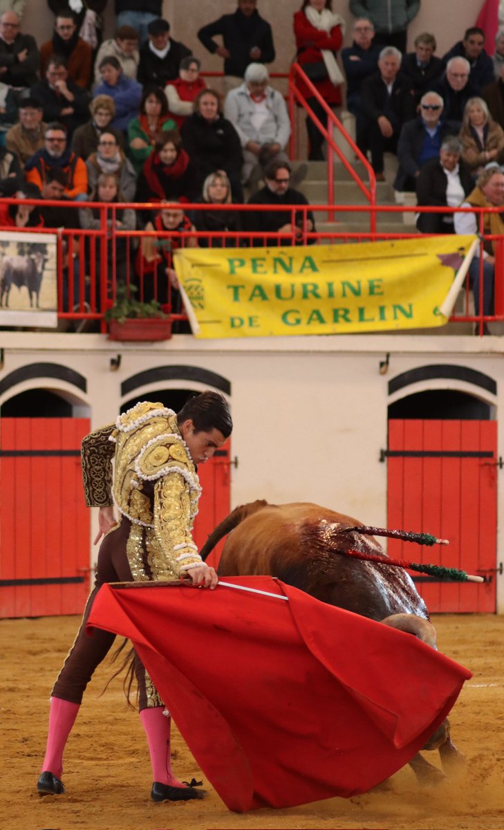infoangeltellez's tweet photo. 🔴 Gamarde

➡️ Muy pocas opciones dio el sobrero que hizo tercero.

✅ ÁNGEL TÉLLEZ lo muleteó por ambos pitones con solvencia

🍀 ¡Queda el sexto! #Tellez2023 #temporada #toros #Gamarde #Francia https://t.co/TAJBQarNIG