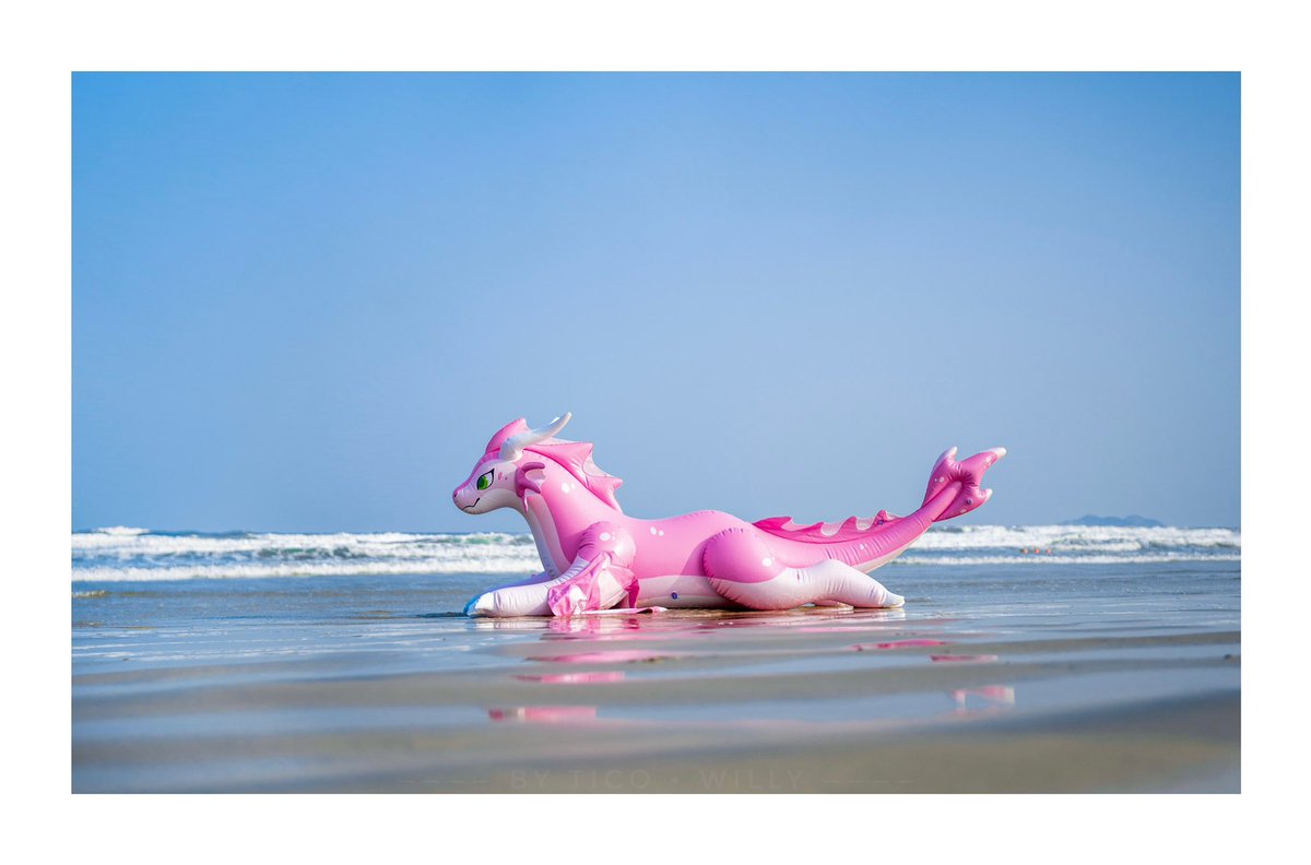 Tico0Willy's tweet photo. #Cerisey #Infaltable #Dragon 
       🏖️🐉✨ https://t.co/wDnPvsZ2LW