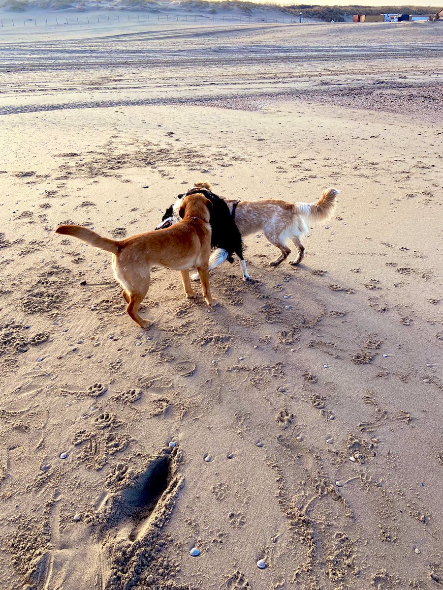 Ahhh Gina, sist🌟!! Happy miraculous ☀️day to you too!! Always ‘around’ 💛😀🫶🏼