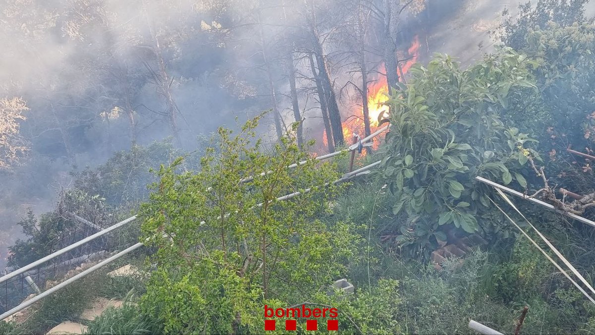 Treballem, també, en un incendi de vegetació forestal a Vallirana (avís 17.20h). El foc està en una zona de difícil accés i treballem per ancorar-lo en una zona d'horts. Hi treballem amb 10 dotacions #bomberscat, l'helicòpter bombarder i l'ADF
