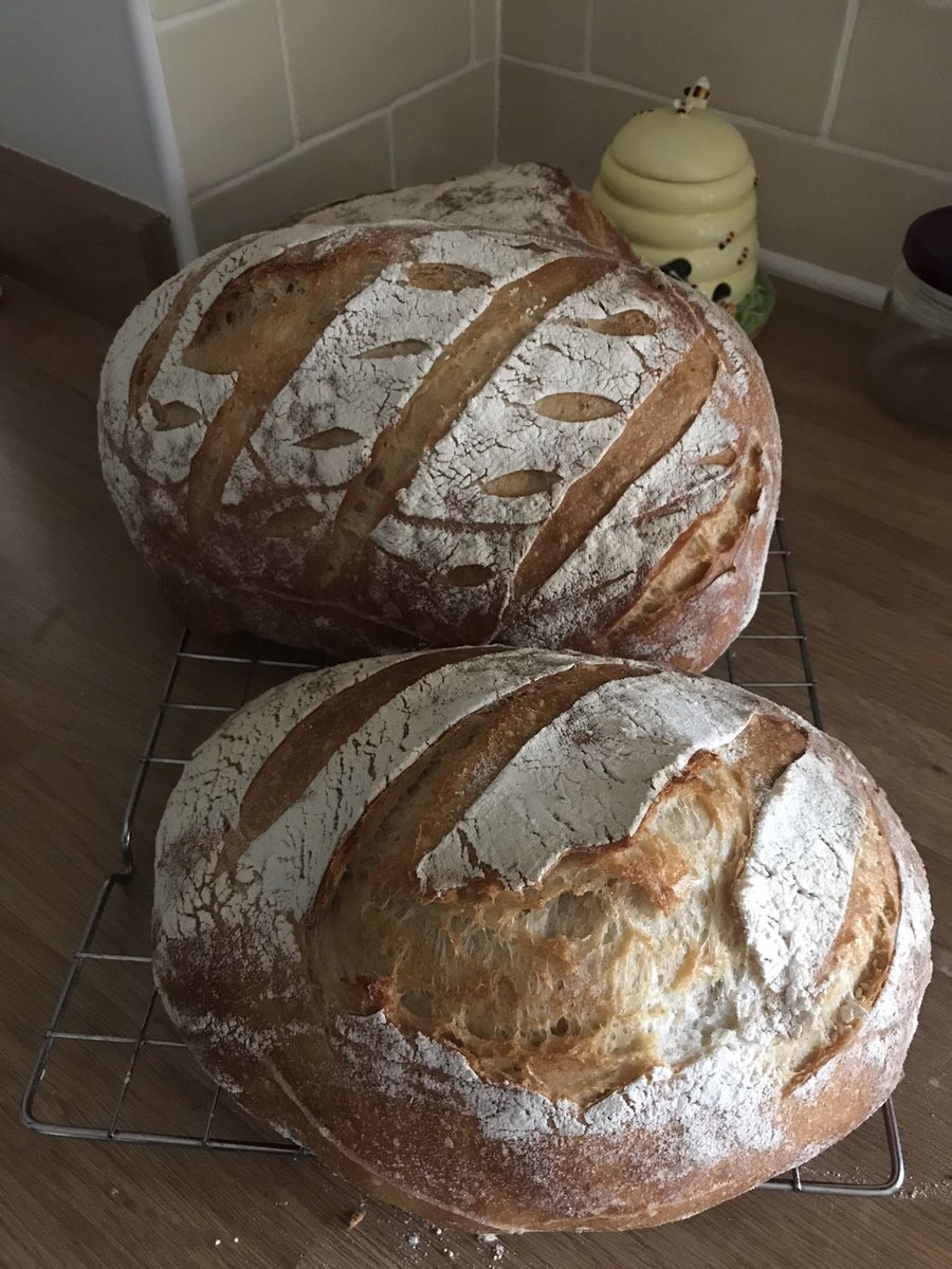 AllotmentHelen's tweet photo. It’s all about the crust #sourdough #properbread #bread #breadmaking #baking #tasty #loaf https://t.co/kpIhZkNDWX