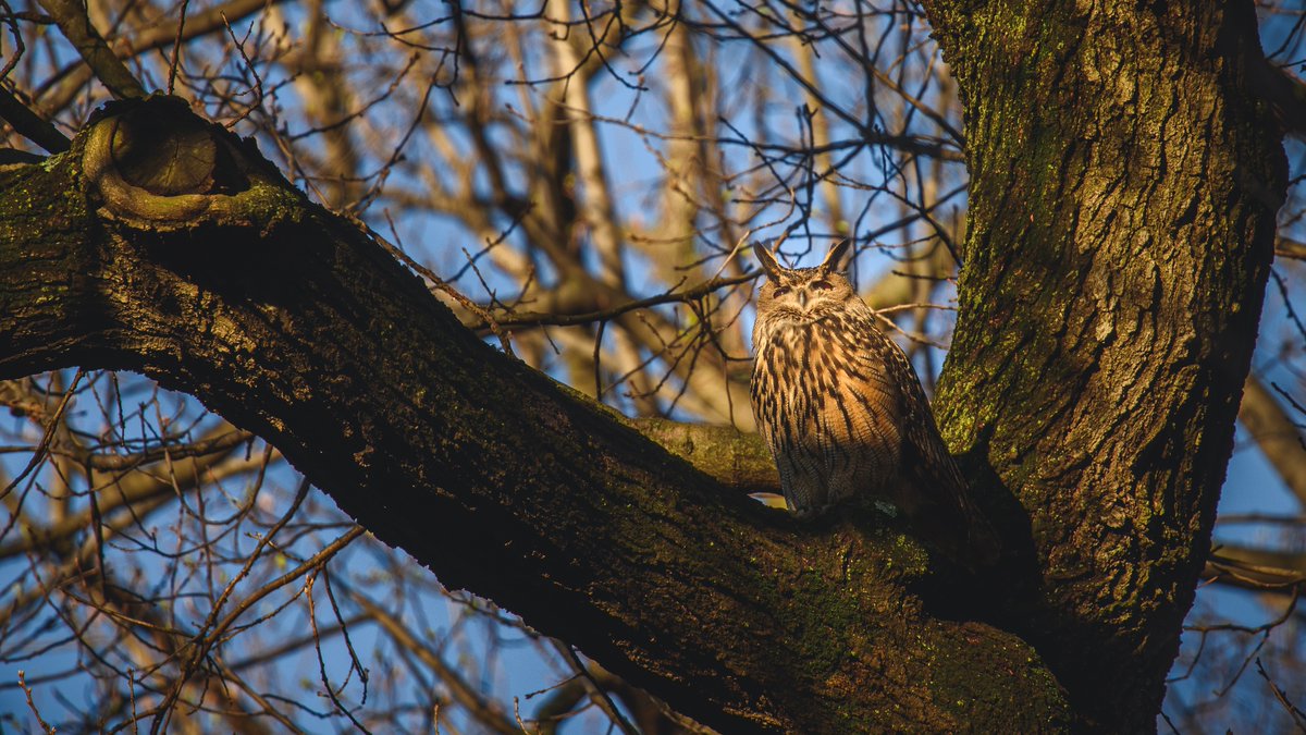 Omar Gonzalez tweet media