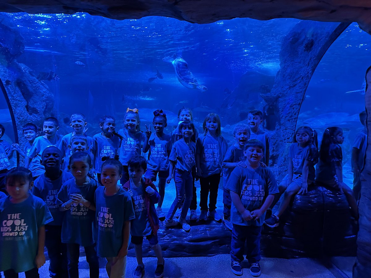 heyteacher83's tweet photo. These kiddos have been working super hard! They have been learning all about sea life and they were rewarded with a field trip so that they could see all the different sea life we have been learning about! 🦈🐡🦐They loved it! ❤️ #IngramIngenuity https://t.co/4TAVTejVot