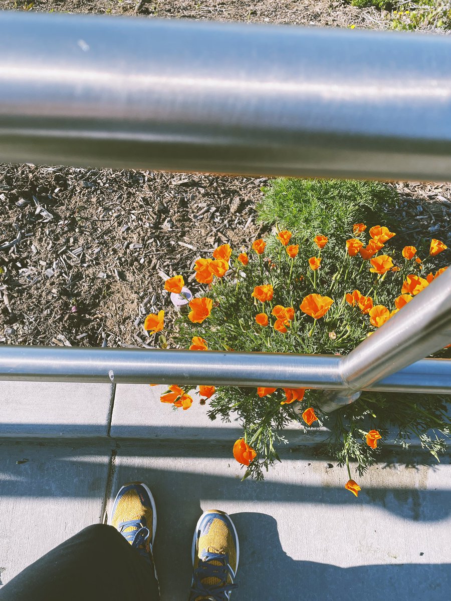 Quick bluff check before catching up on some work today, love you LB 🤓☀️🌊🌼