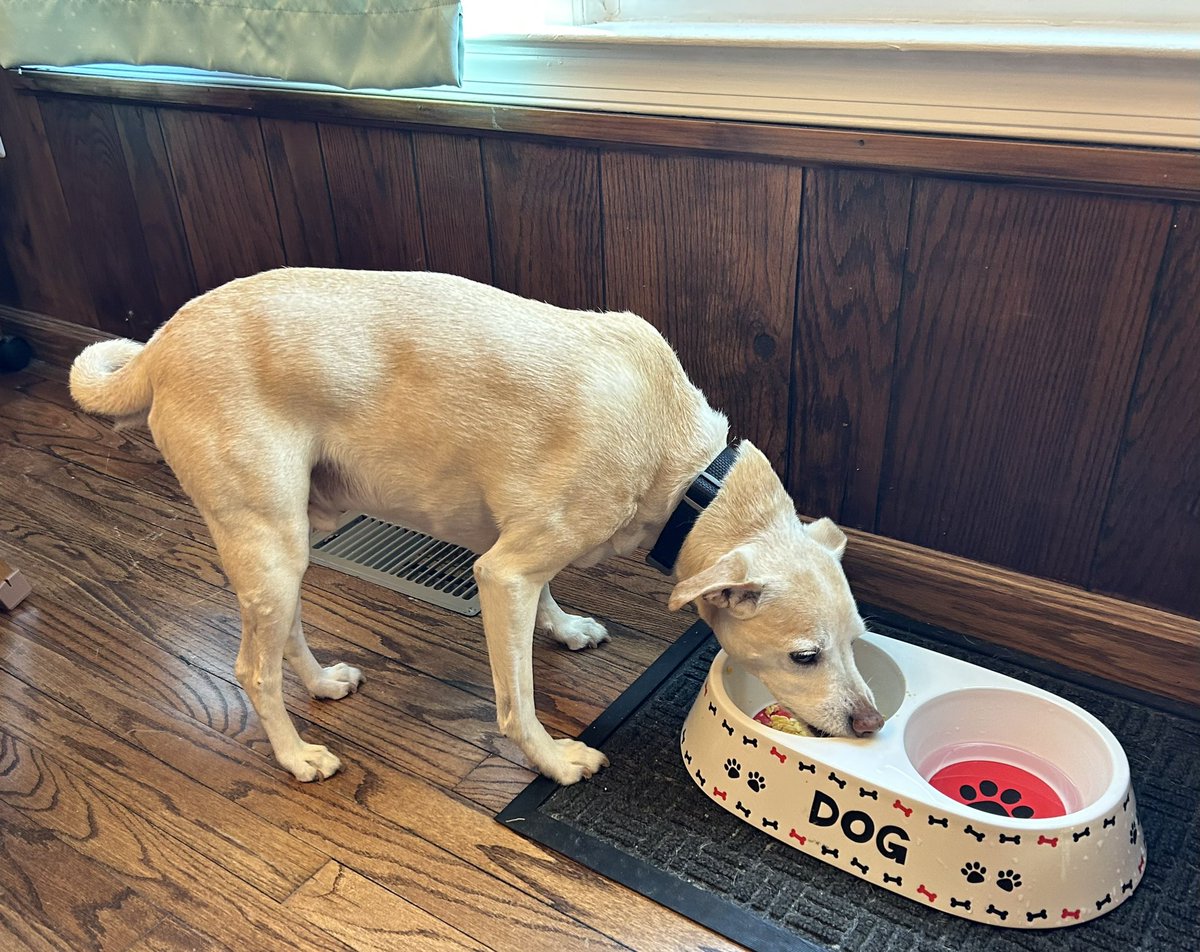 CarterTraci's tweet image. 11th birthday omelette and still hopping like a kangaroo! 🎂