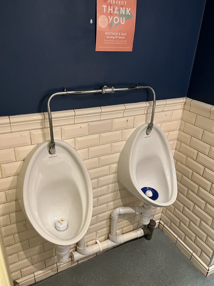 The Blue Anchor, Hammersmith.

Nice enough, but very small. Really only space for one in, one out. No splash mats, wouldn’t want to be wearing shorts.

5/10.