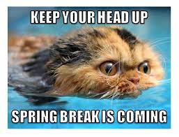 DUSD Elementary School Open House Week 
then Spring Break
#YouGotThis