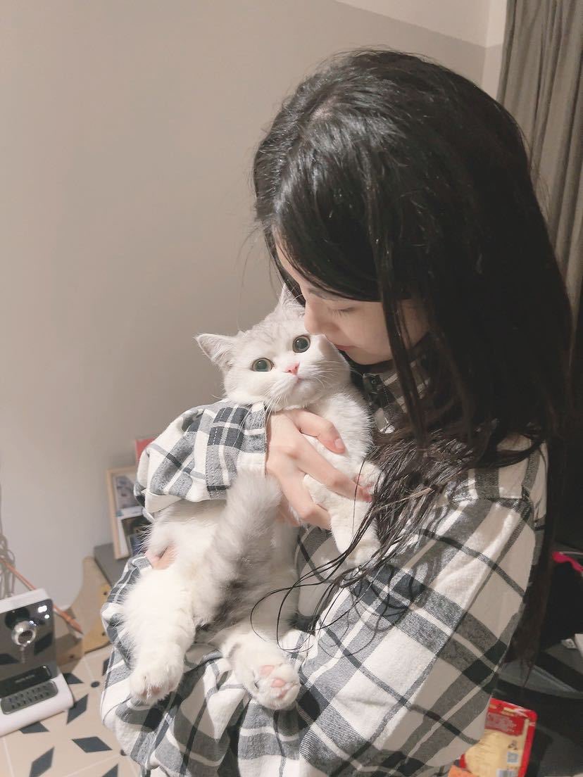 Cat48chn's tweet photo. Chacha (nk) 

#Cat48 #茶茶TheCat https://t.co/ukkXoAofCN
