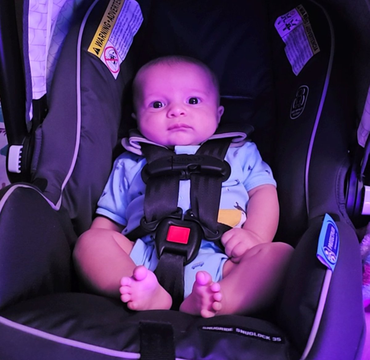 ValarDX's tweet image. Bro, get me outta here.