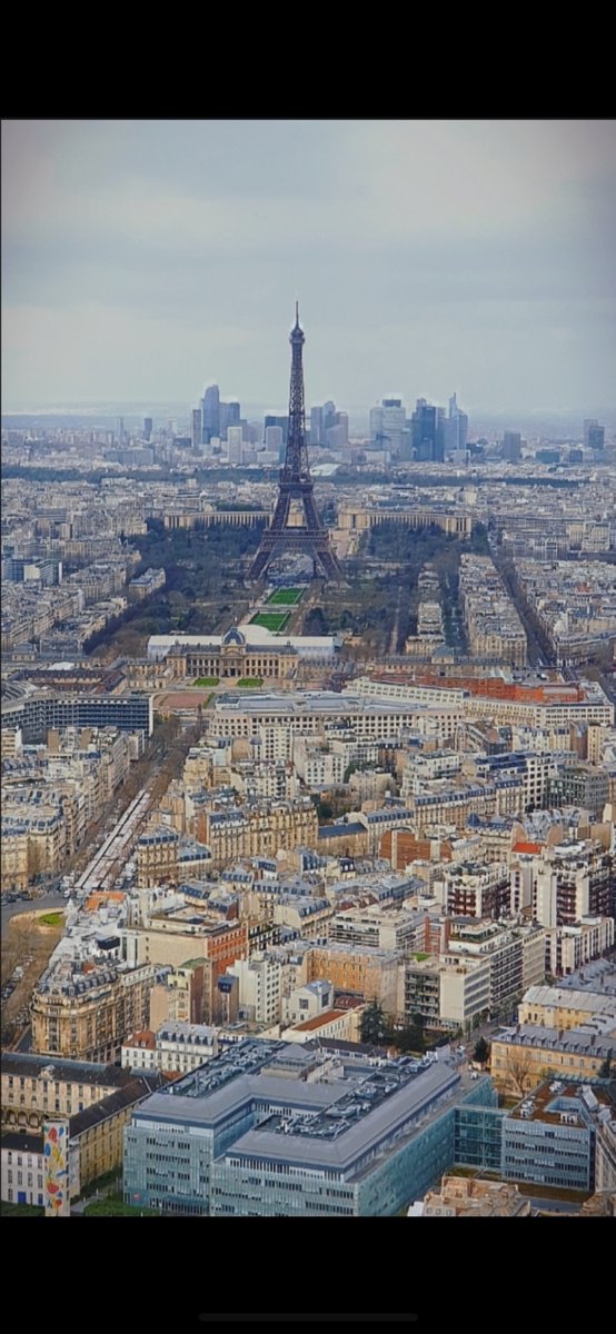 HamptonFrench tweet media