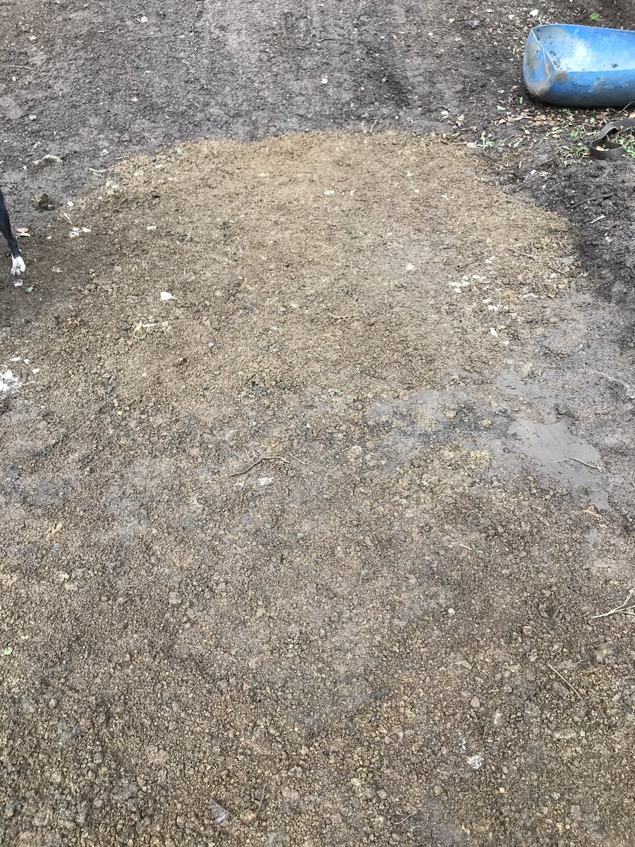 Cavehillmtbers's tweet photo. Great to see some new faces coming along and helping out with some maintenance to the Middle Trail today.  Some important drainage work carried out. https://t.co/ZHJZZ06WVd