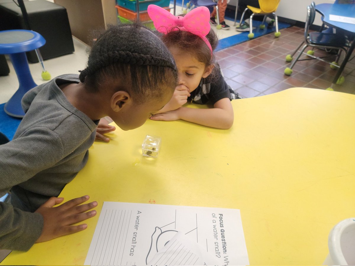 Kelly Lenihan tweet media