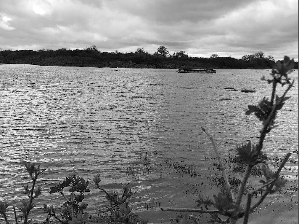 Hookland tweet media