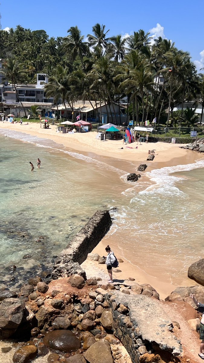 nidhify's tweet image. 📍Sri Lanka 🇱🇰