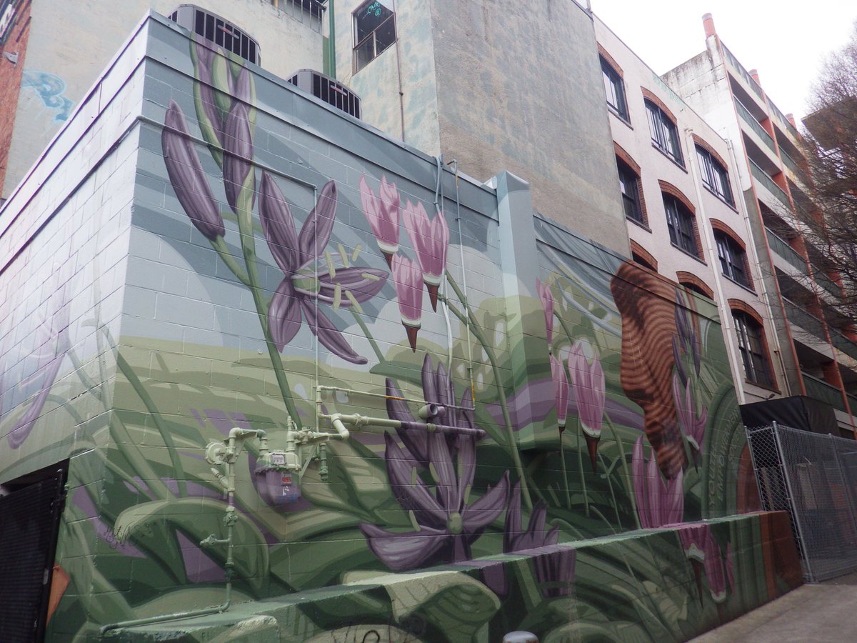 Camas and shooting star mural in Victoria, BC.