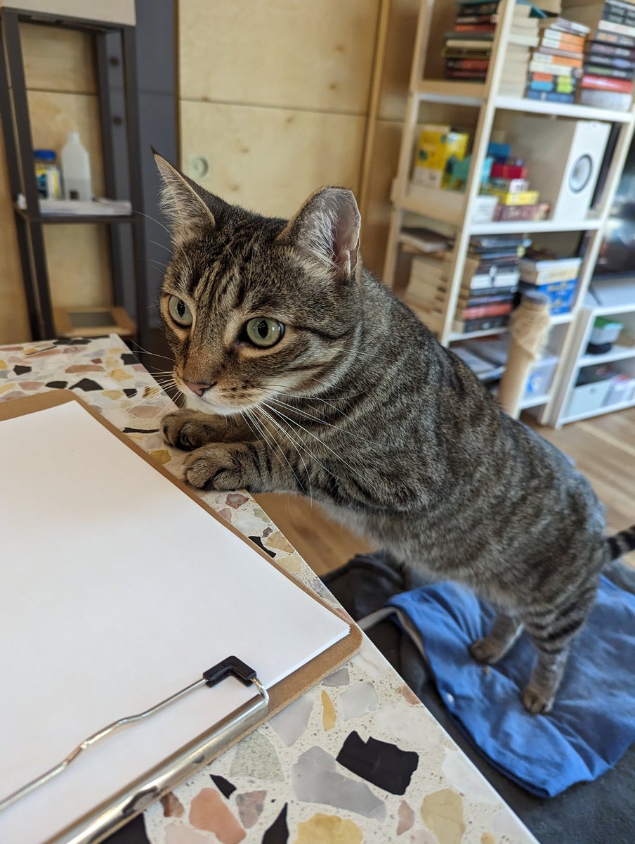 pico cat tweet media