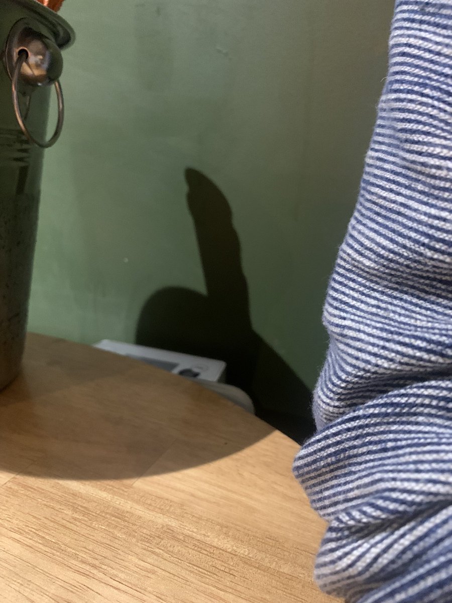 worlass68's tweet image. George thinks him Mamalooba and husis have had enough Prosecco for a Sunday..... #cannotunseeit #phallic #innocentspaniel