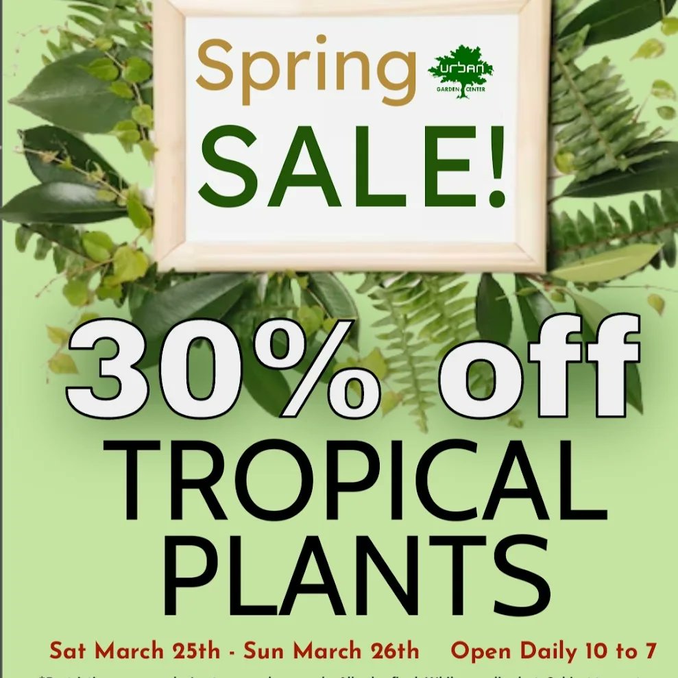 30% off all houseplants until 7pm today!!