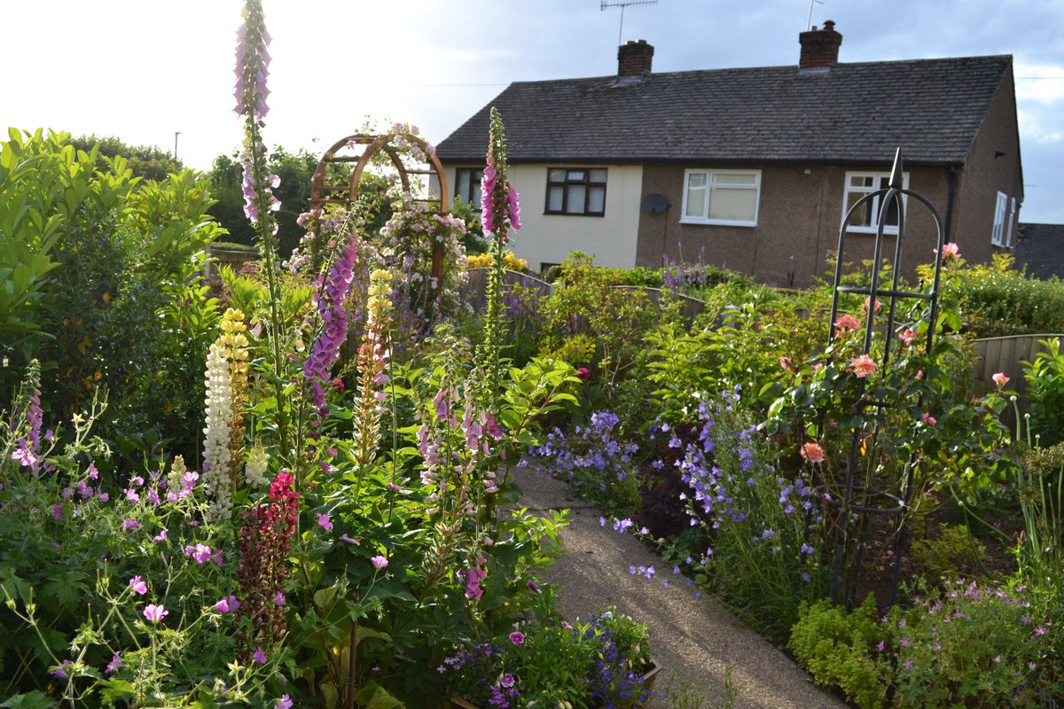 March 2021, June 2022. Busy with birds and butterflies all the long days. If you have plastic grass, please take it up and give life a chance instead...... #gardening #plasticgrass