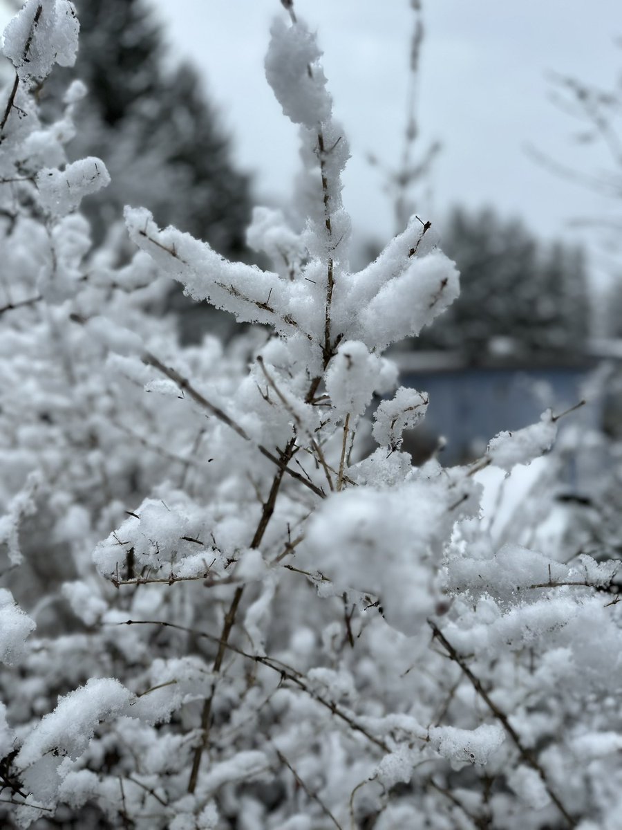 Ghaneh Fananapazir tweet media