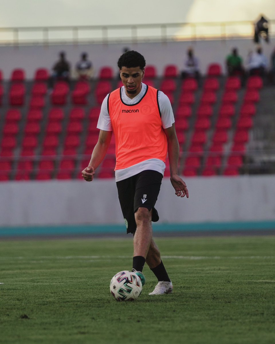 Les Cœlacanthes des Comores 🇰🇲 tweet media