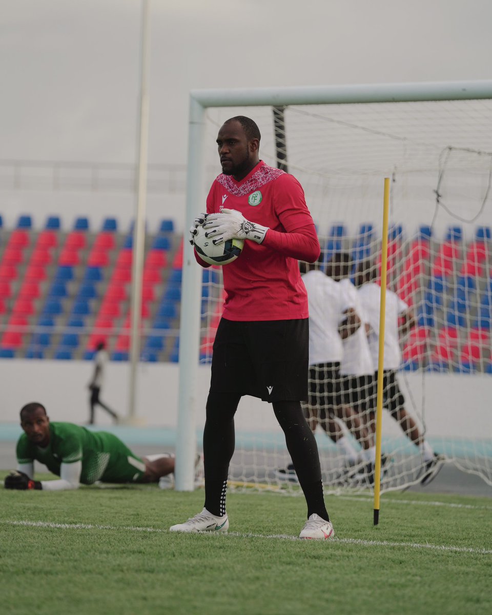 Les Cœlacanthes des Comores 🇰🇲 tweet media