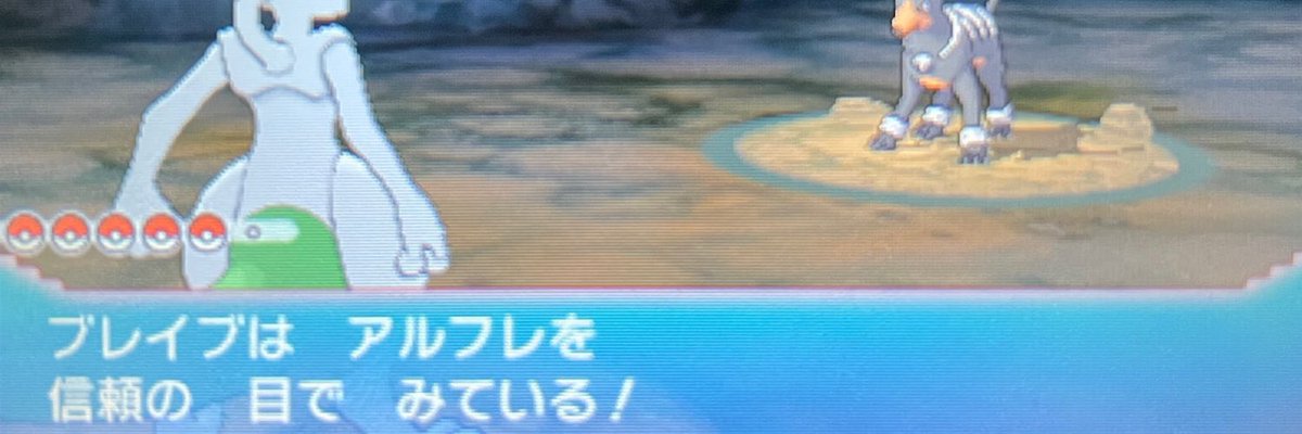 アルフレ tweet media